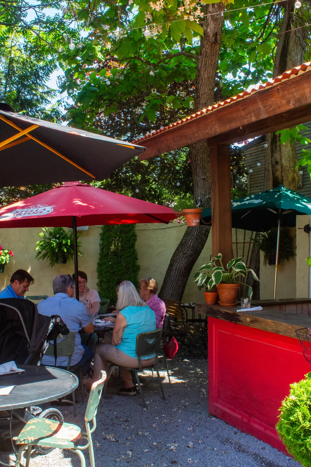 Guests dining under the tree canopy on Luca Bistro's garden patio